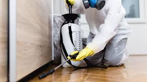 Best Pest Exclusion Services  in Green Island, NY